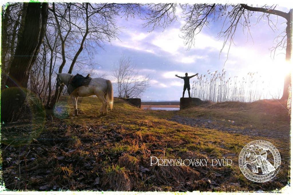 Premyslovsky Dvur Daire Slezske Pavlovice Dış mekan fotoğraf